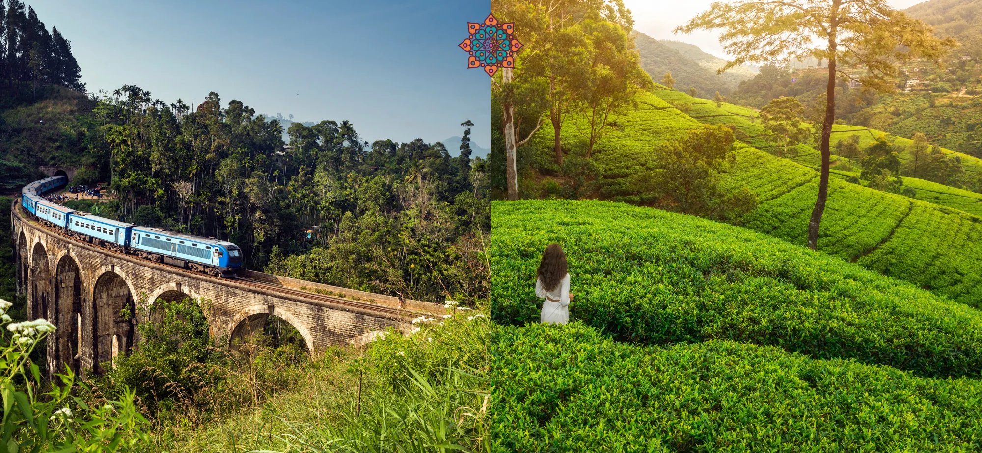 tours in india, holidays in india